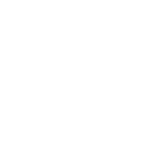 Flight
