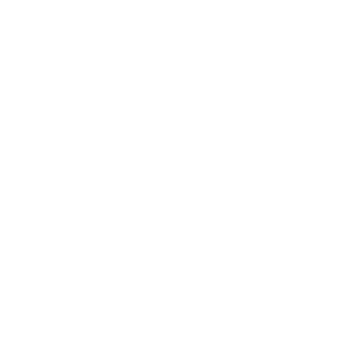 User Feed